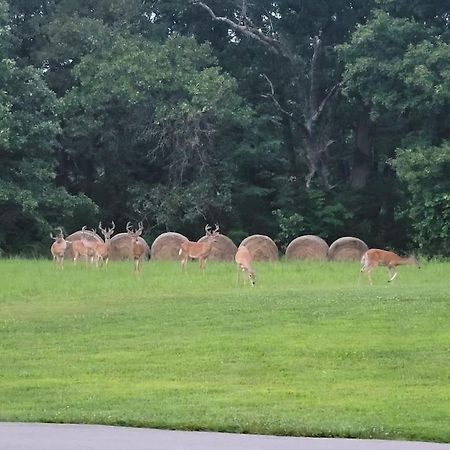 Deer Run Estate Llc Hotell Marshfield Exteriör bild
